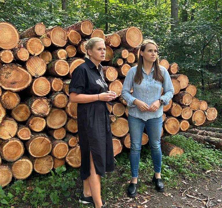 „Nic, co bezprawne, się nie ukryje” – Agnieszka Pomaska o zmianie polityki leśnej.