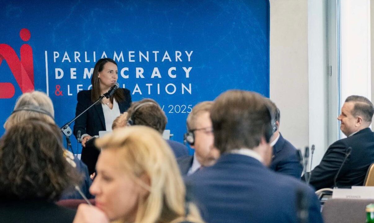 Parliamentary Democracy and Legislation in the Era of Artificial Intelligence. A European Perspective.