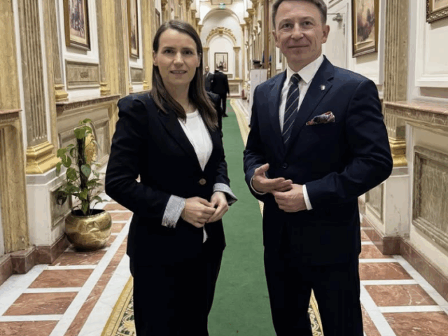 Poland’s Representation at the Parliamentary Assembly of the Union for the Mediterranean in Cairo